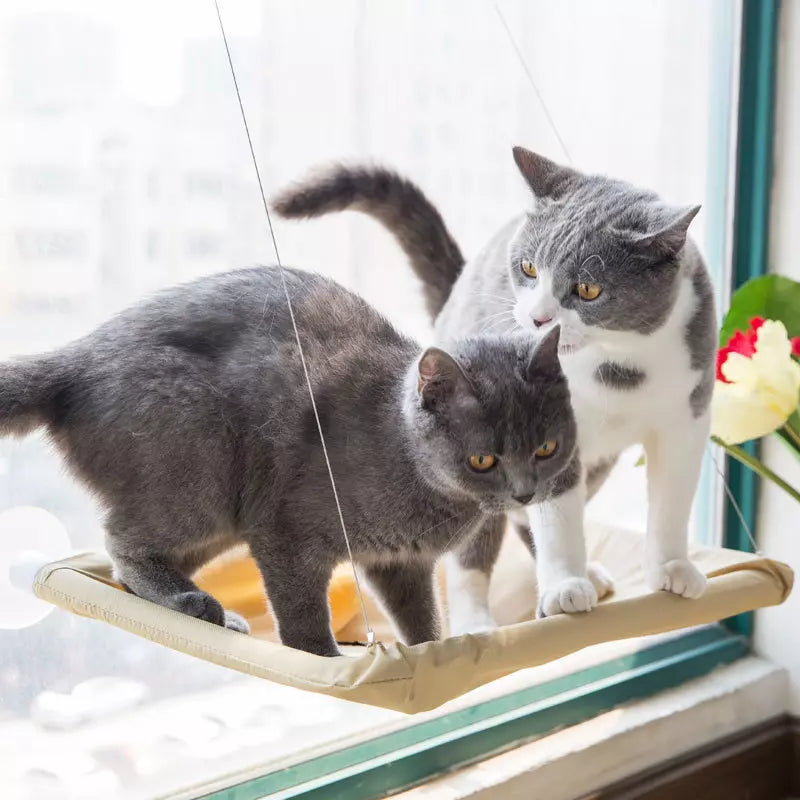 Caminha de Janela Suspensa para Gatos Fofin Bed