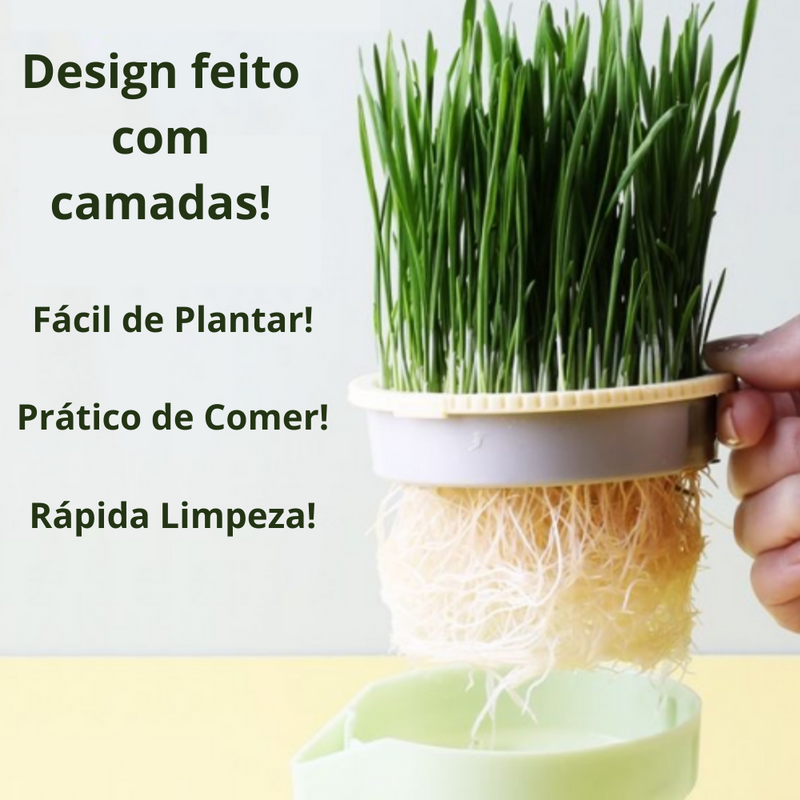 Vaso de Plantas para Gatos Fofin