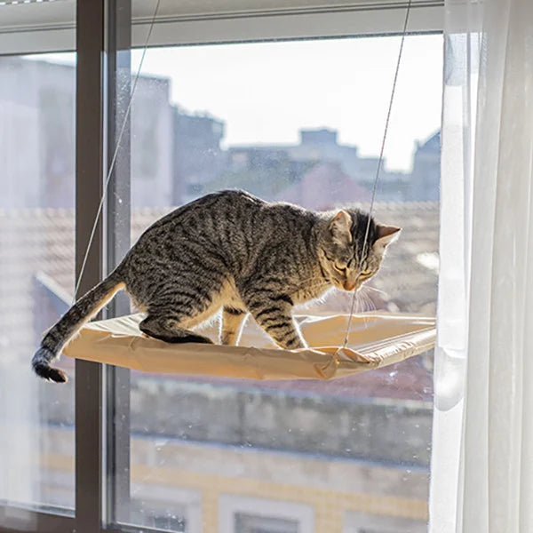 Caminha de Janela Suspensa para Gatos Fofin Bed